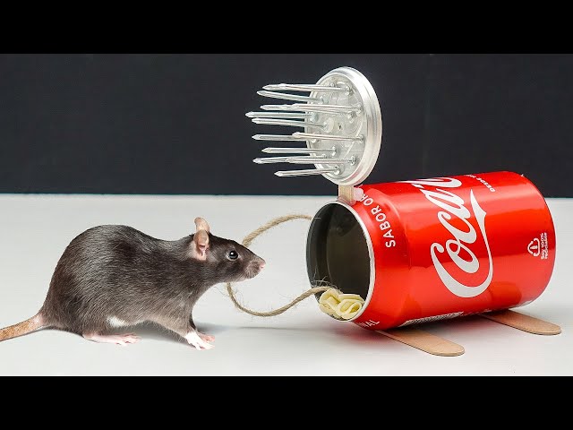La MEJOR MANERA de Deshacerse de las RATAS 🐀😲