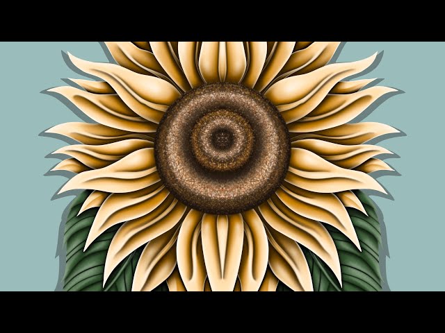 Sunflower #Procreate Process - UNCUT