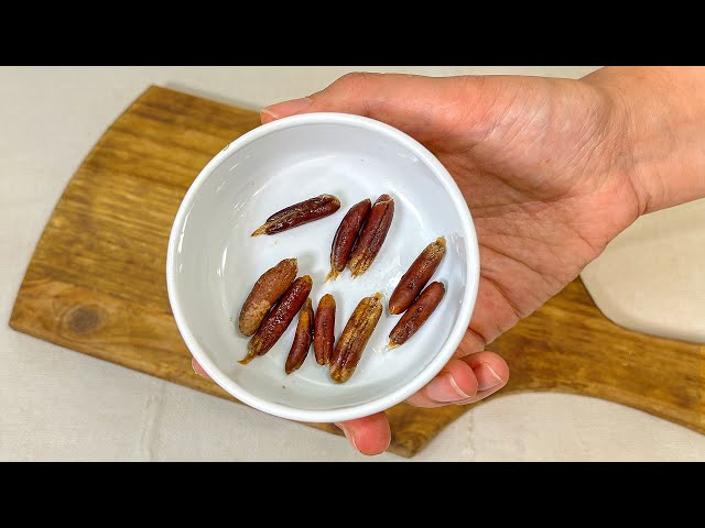 Natural Remedy: Urinary Tract Health & Kidney Stone Relief with Date Pits