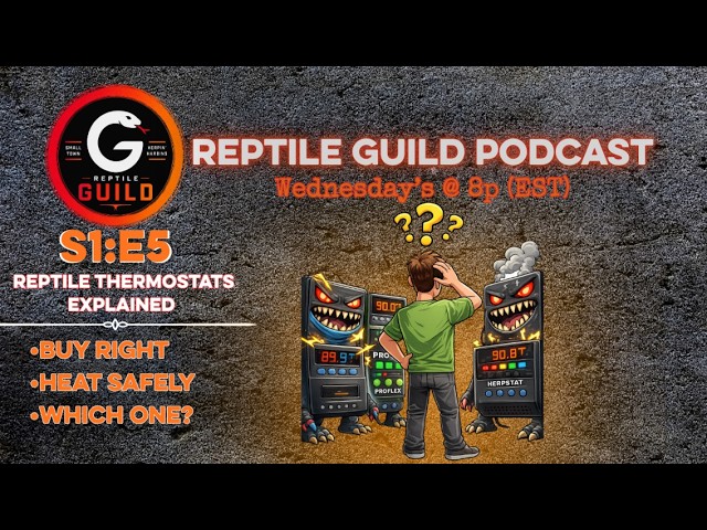 Reptile Thermostats Explained | Which One Should You Buy? | Reptile Guild Podcast