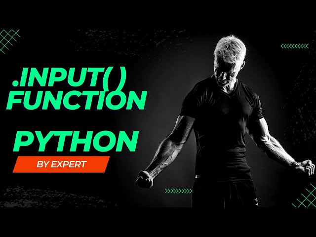The Input Function Python | Details Easy Way