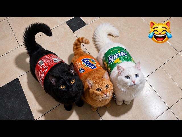 TRY NOT TO LAUGH: Over Dramatic Cats 2026! 😹🐾