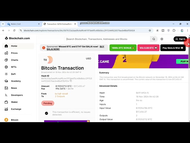 Blockchain Unconfirmed Transactions Script updated 2024 🟢
