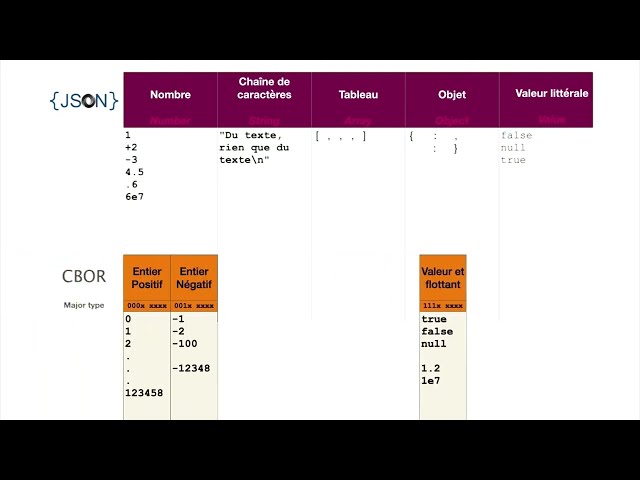 Understand CBOR coding⚙️ MOOC PLIDO