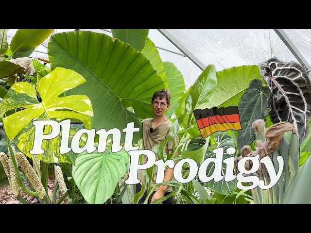 Inside Germany's Incredible Rare Plant Greenhouse - New Aroid Hybrids Revealed! Fordplants Ep. 1