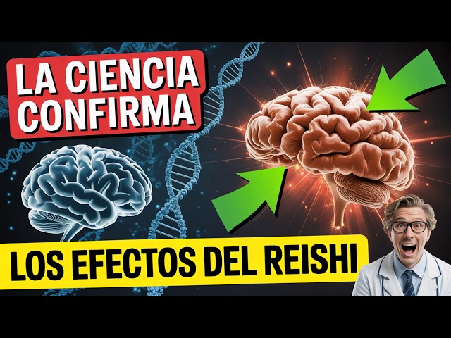 PROPIEDADES del HONGO REISHI GANODERMA LUCIDUM Beneficios Espectaculares