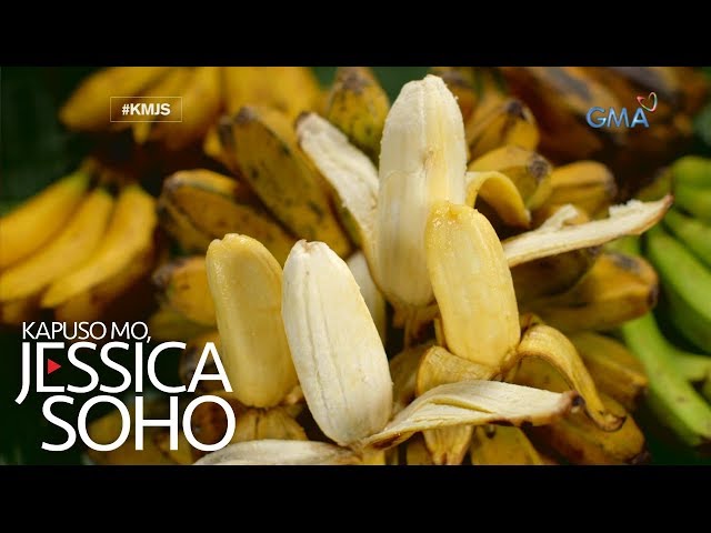 Kapuso Mo, Jessica Soho: Aba, aba, saging na saba!