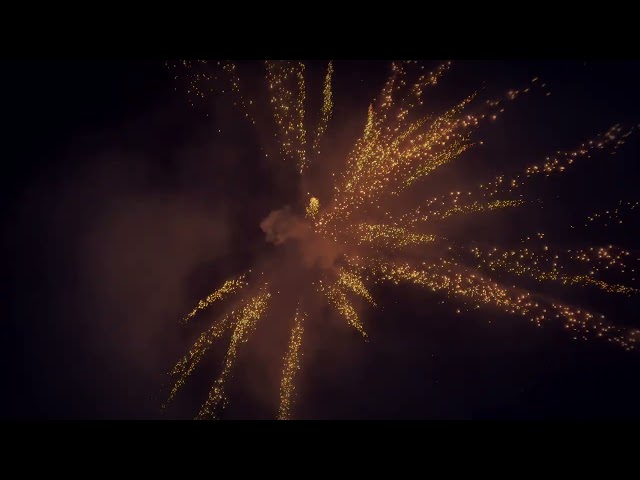 New Year Fireworks 🎆 #trending 