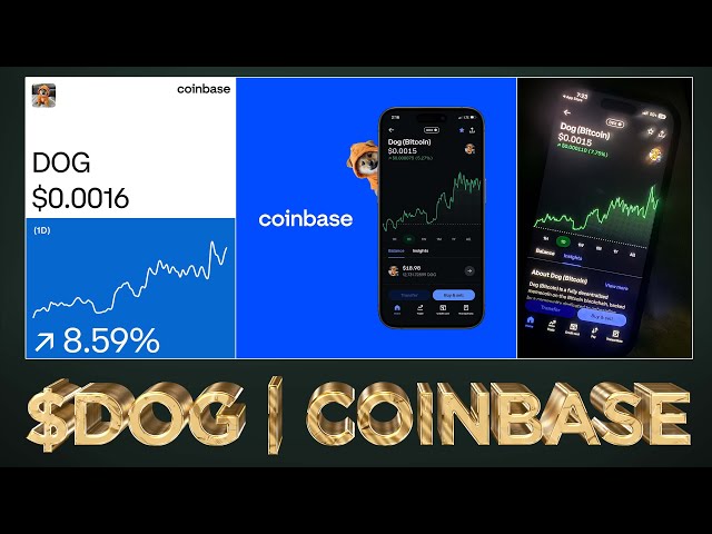 $DOG Now on Coinbase (INSANELY BULLISH) 🤯