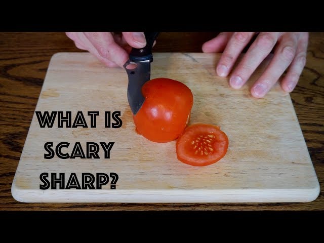 WHAT IS SCARY SHARP?? How sharp can you get a knife freehand sharpening?...Pretty sharp!
