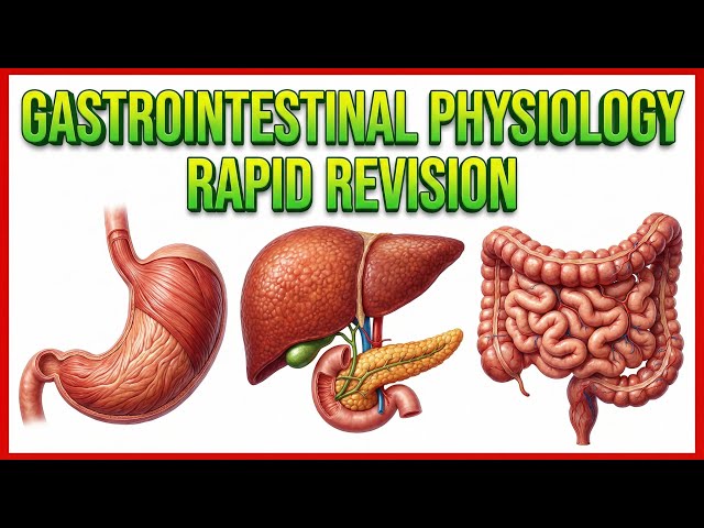 Gastrointestinal Physiology Rapid Revision