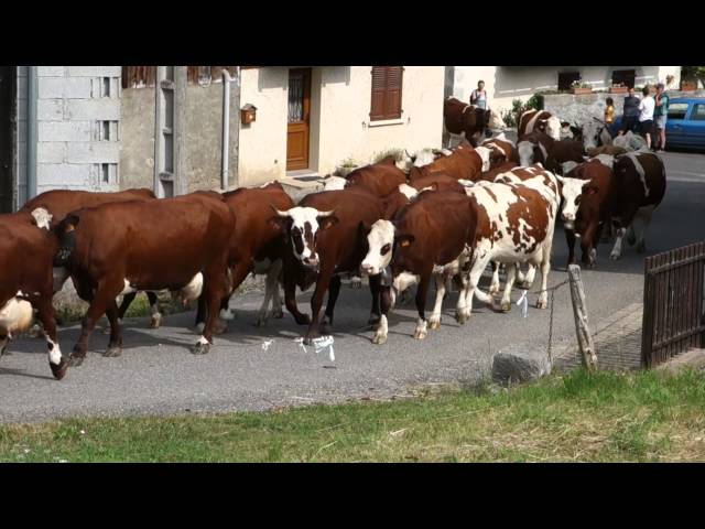 Les Bauges, montée vers l'Arclusaz