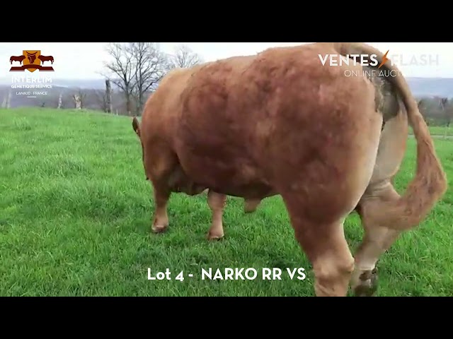 NARKO RR VS - Ventes Flash #5