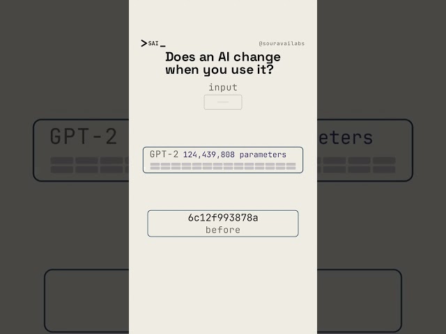 Does an AI Change When You Use It? We Fingerprinted GPT-2.