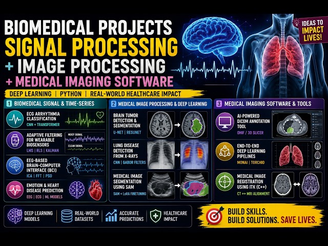 Next-Level Biomedical Signal Processing Projects for Your Portfolio