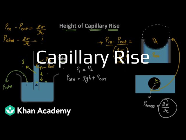 Capillary rise | Mechanical properties of Solids | Grade 11 | Physics | Khan Academy