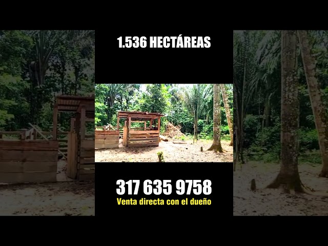 🍃(FOR SALE) - THIS IS THE FARM🍃Direct sale with the owner: (+57) 317 635 9758🍃