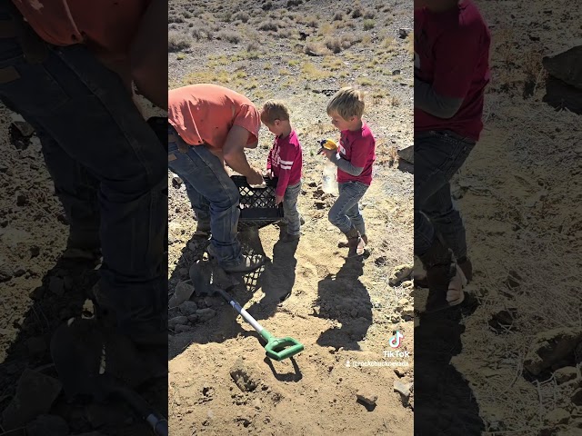 🎉🎉🎉 The ultimate screen when sorting rocks a milk crate with mesh in it ❤️ #thekeadys #therockchuck