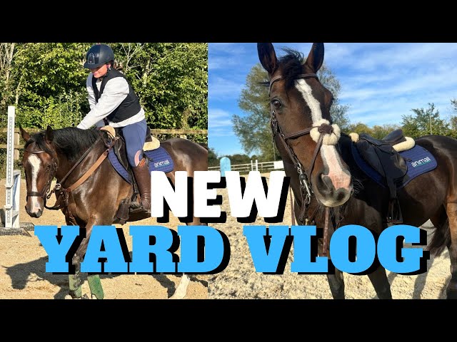 NEW YARD VLOG | FIFIS WELSH PONIES 