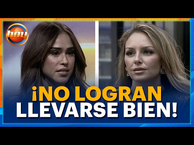 Gema and Yanet in high-tension moments at @lacasafamososmx | Programa Hoy