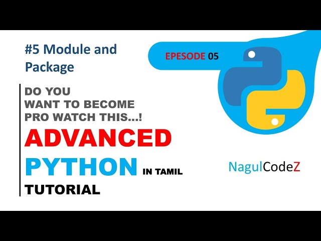 Python Module vs Package Explained in Tamil | Complete Beginner Guide | Python Tutorial Tamil
