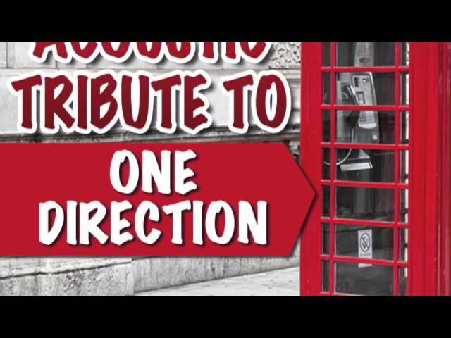 Tell Me a Lie - One Direction Acoustic Tribute