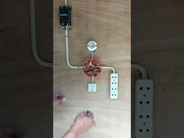 Home Basic Electrical Wiring #electric #electrical #electricity #tutorial