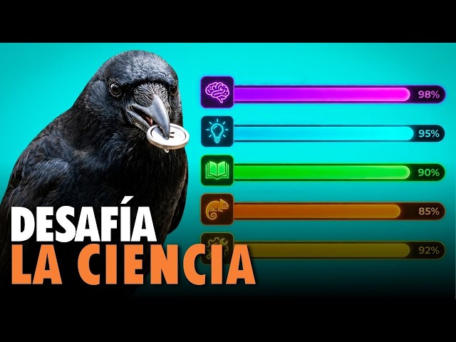 Crows vs. Kids | Who is smarter?