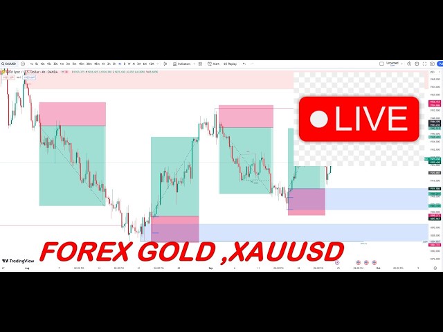 GOLD  Live Forex Signals 24/7 | Best Forex Trading Intraday Strategies
