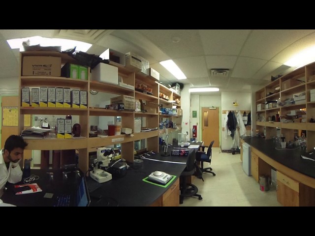 LAB 360 TOUR: Resilient Forests (RES-FOR) part 2