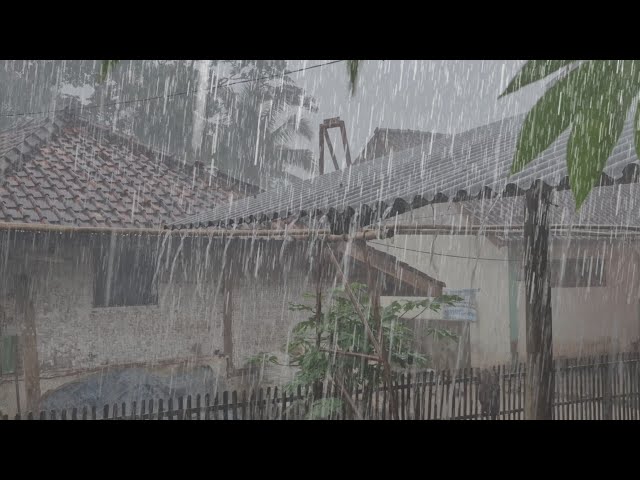 Real Rain Sounds in Indonesian Village 🌧️ Natural Countryside Ambience