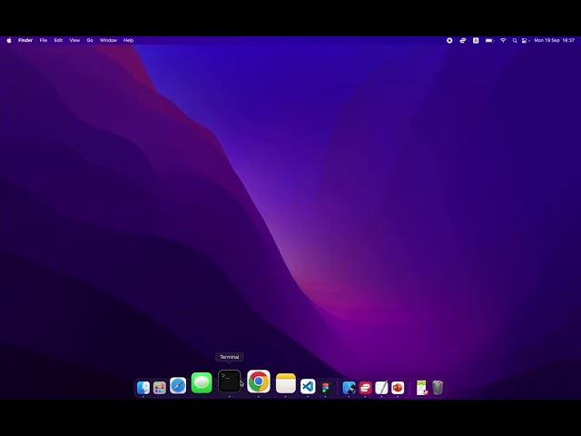How to install TailwindCSS?