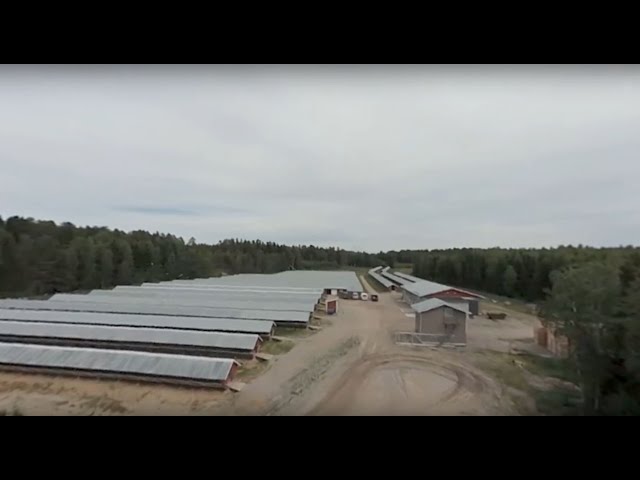 Take a 360° VR Tour Around Fox Farm