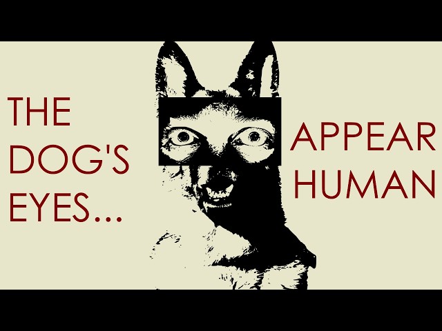 The weirdest horror book I've read this year
