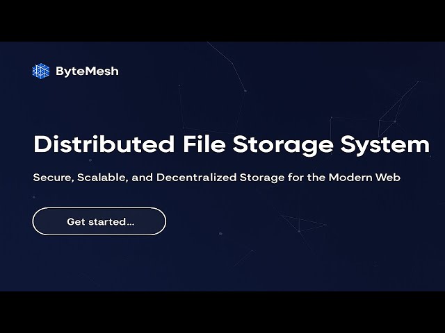 Distributed File Storage System in Go | ByteMesh #distributedsystems #lowlatency #programming