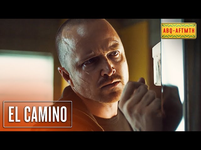 Jesse Finds Todd’s Hidden Money | El Camino