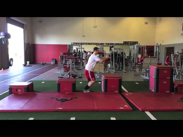 Davis Training Systems - Plyometrics