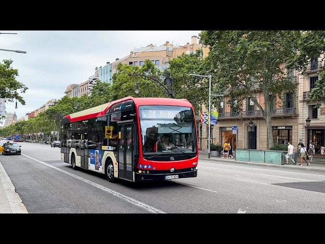 Autobuses en Barcelona, ​​España 🇪🇸 | 2025