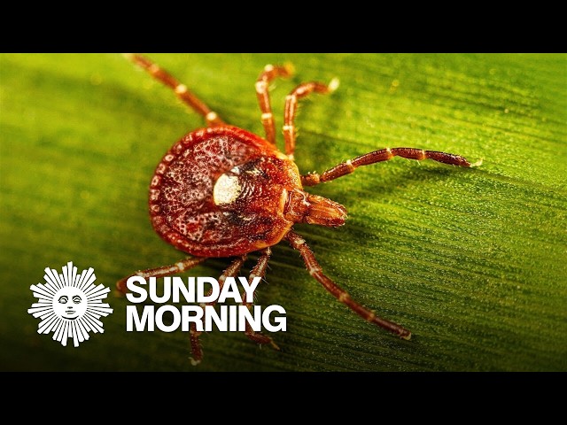 The explosion of ticks and Alpha-gal syndrome