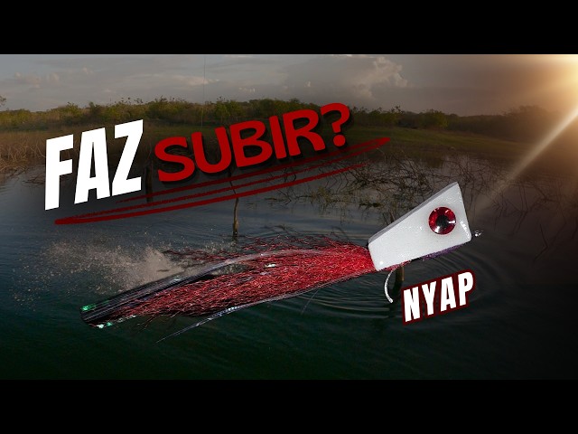 NYAP for Peacock Bass: Can More Surface Disturbance Make Them Rise?