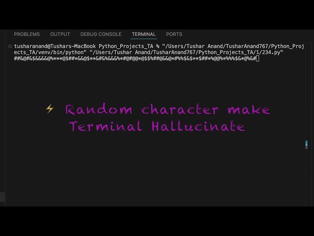 Random characters make terminal hallucinate #python #coding #terminal  #code
