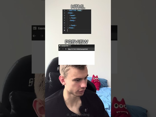How to code a Text field in HTML #frontenddeveloper