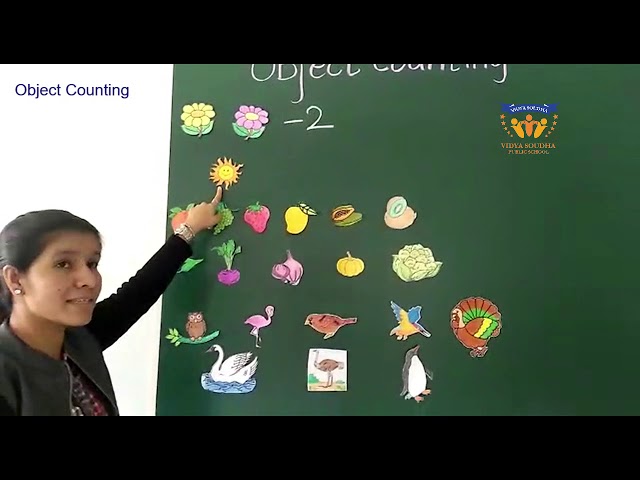 Object Counting
