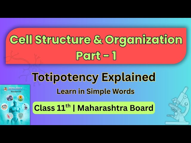 Class 11 Biology | Chapter 5 Part 1 | Simple Words | Cell Structure & Organization | Easy Notes