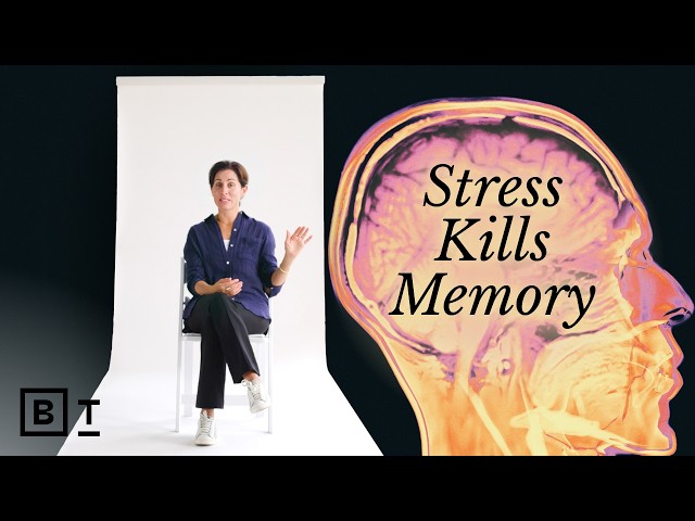 A neuroscientist’s guide to protecting your brain, in 58 minutes | Lisa Genova: Full Interview
