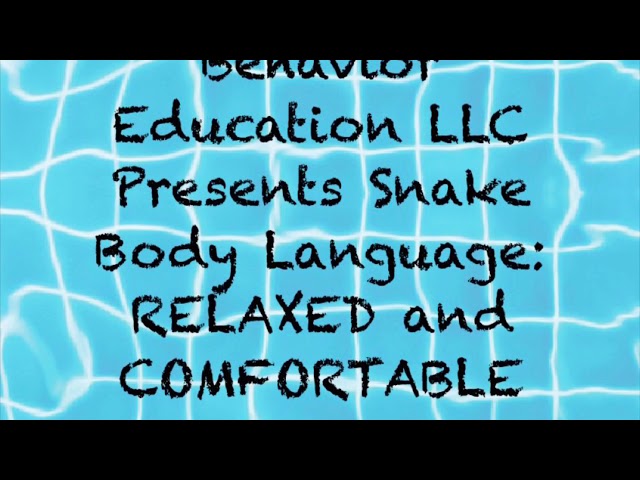 Snake Body Language 1