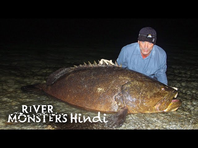 River Monsters Hindi S4E1 – American Killers ft. Alligator Gar & Bull Shark | Ep 22