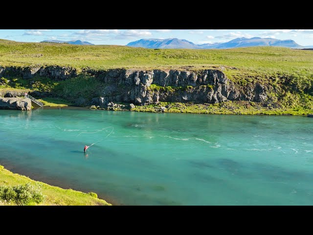 Salmon Fishing River Blanda - Incredible Day in Northern Iceland