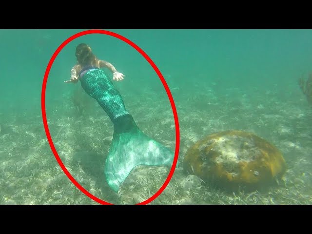 Mermaid Caught on Tape 2017 + BEST MERMAID VIDEOS