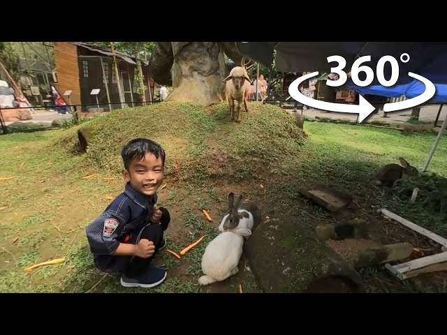 Virtual Reality 360 Taman Wisata Matahari Cisarua Puncak Bogor - Bermain di Taman Kelinci